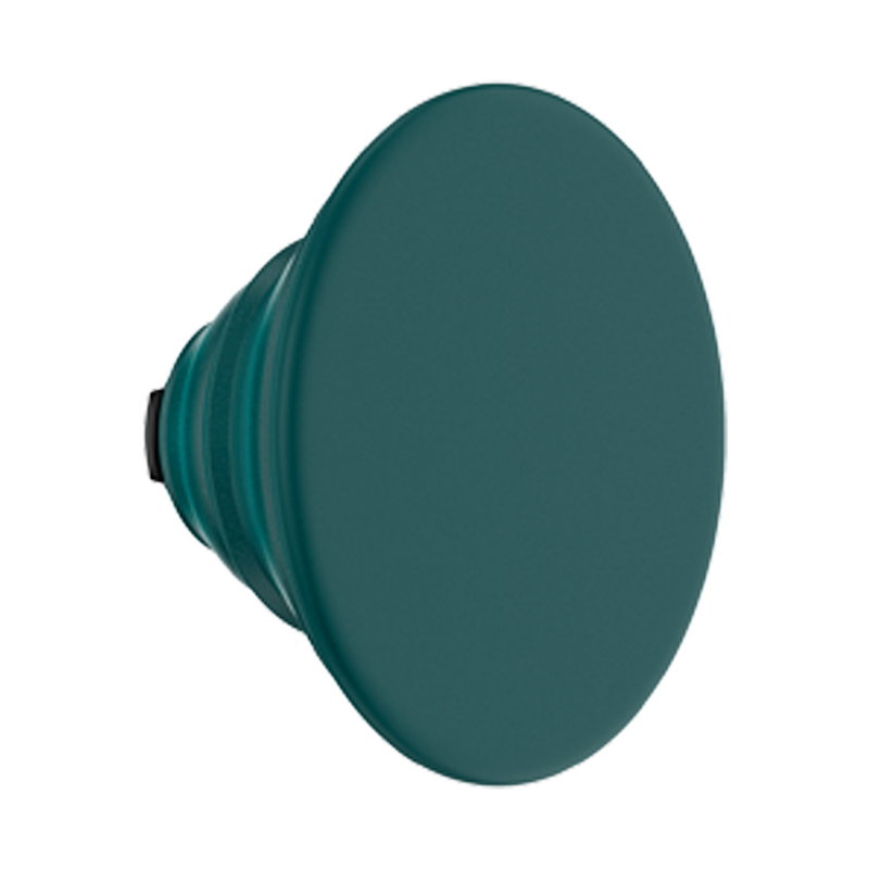 Fresh Pine — PopTop