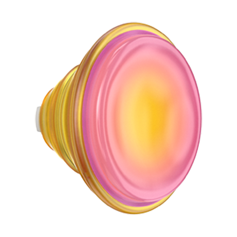 Jelly Sunni B — PopTop