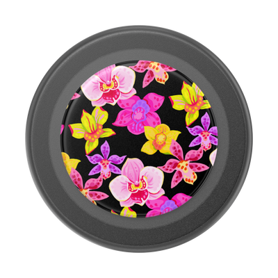 Secondary image for hover Haute House — MagSafe PopGrip