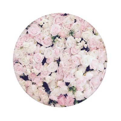 Flower on a wall — Adhesive PopGrip